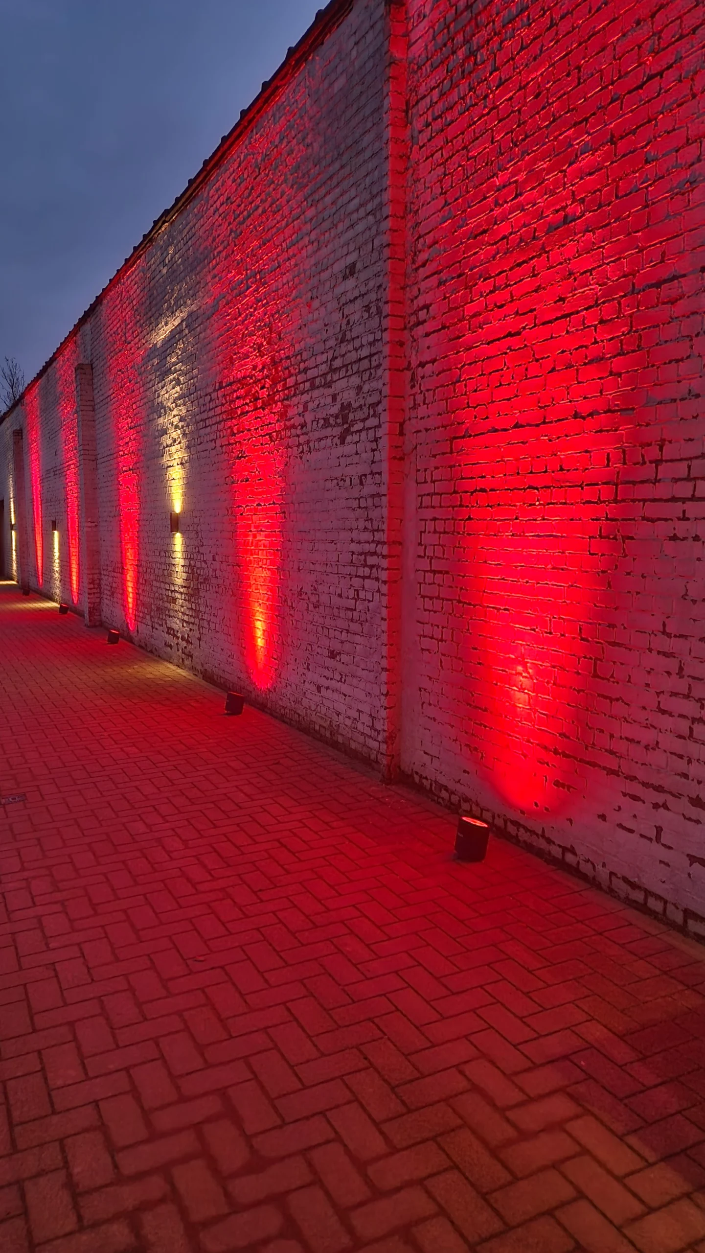 uplights-for-gala